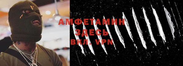 гидра Бронницы