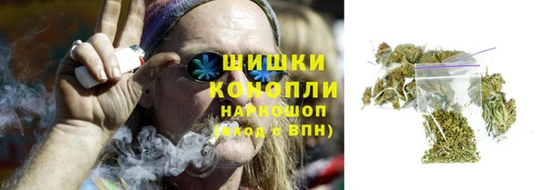 гидра Бронницы
