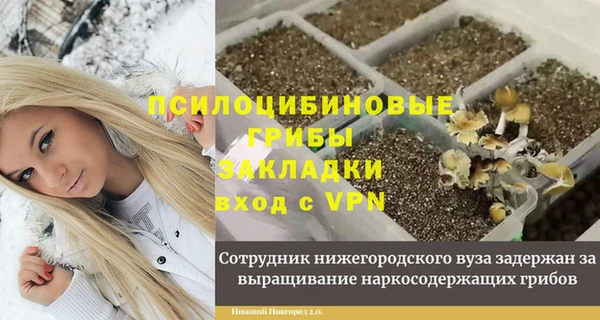 ПСИЛОЦИБИНОВЫЕ ГРИБЫ Верхнеуральск
