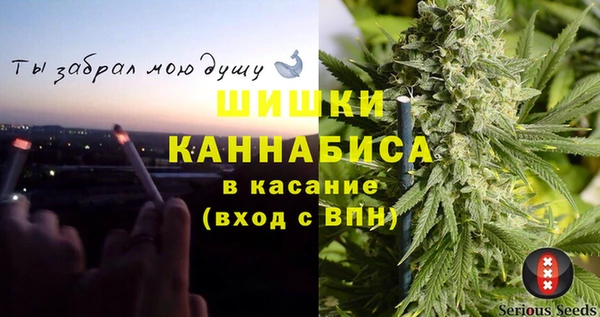 гидра Бронницы