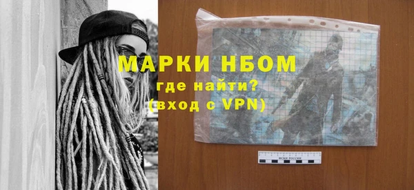 дживик Бородино