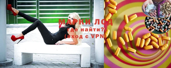 дживик Бородино