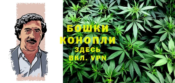 дживик Бородино
