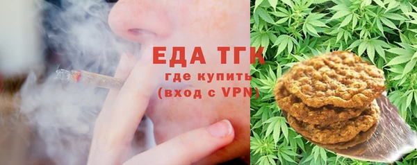 дживик Бородино